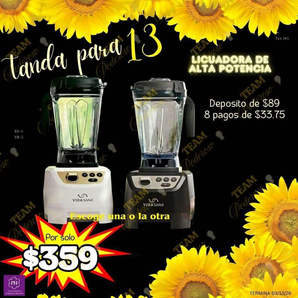 Princess House Blender