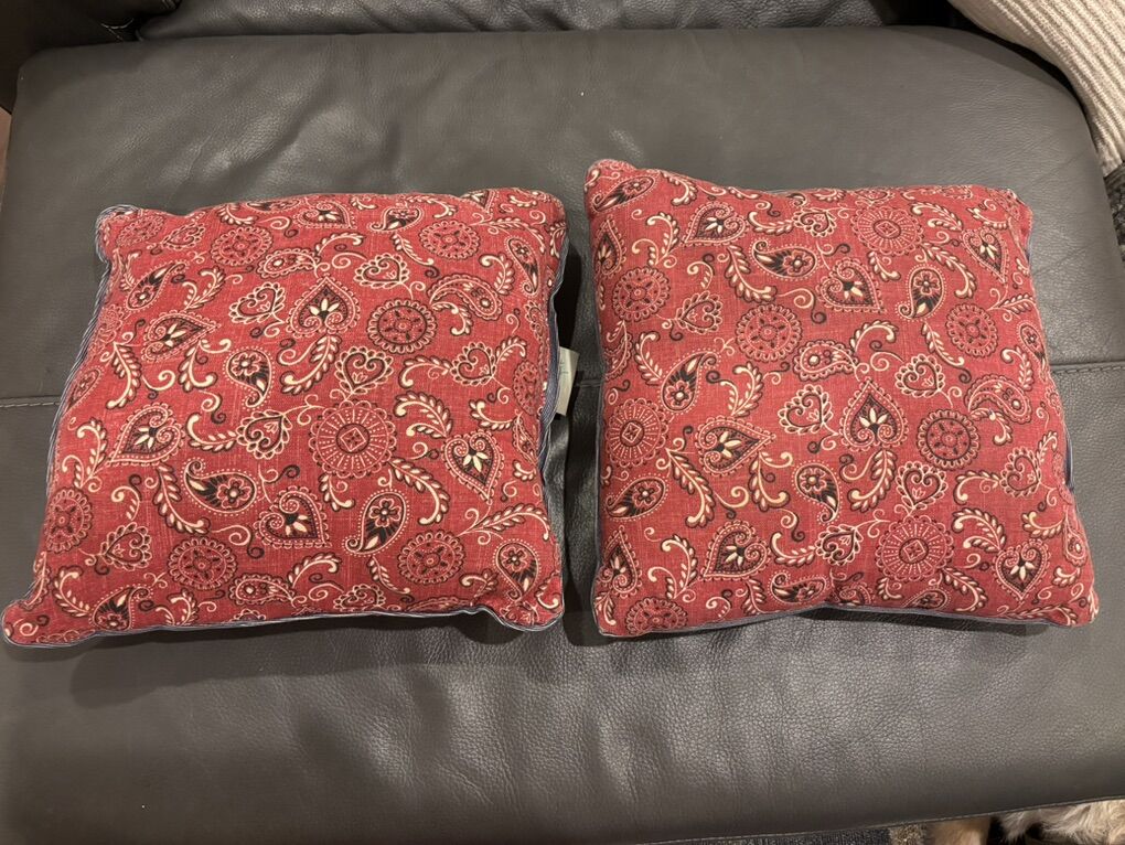 Darling Bandana Pattern Throw Pillows $5 Each
