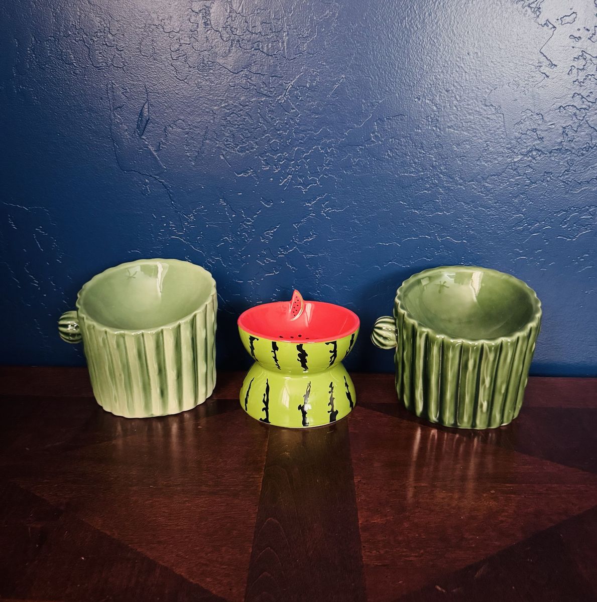 Trio Cactus and Watermelon Ceramic Pet Bowls