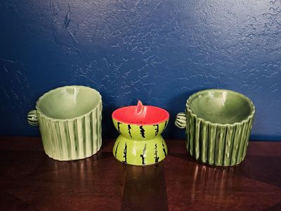 Trio Cactus and Watermelon Ceramic Pet Bowls