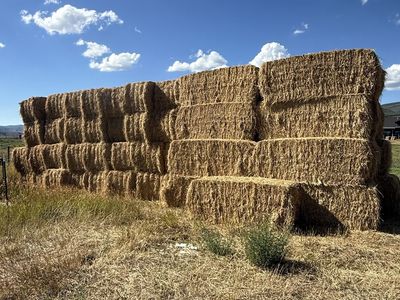 Alfalfa mix hay