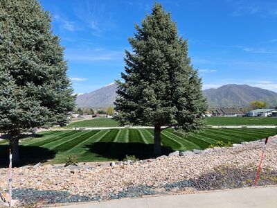 C&C Grounds Maintenance