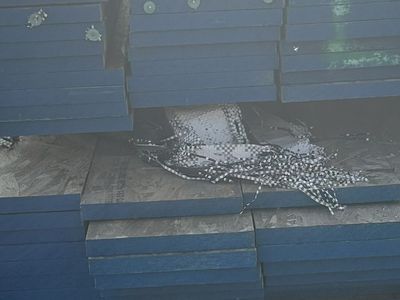 Concrete Forms / Rim Board