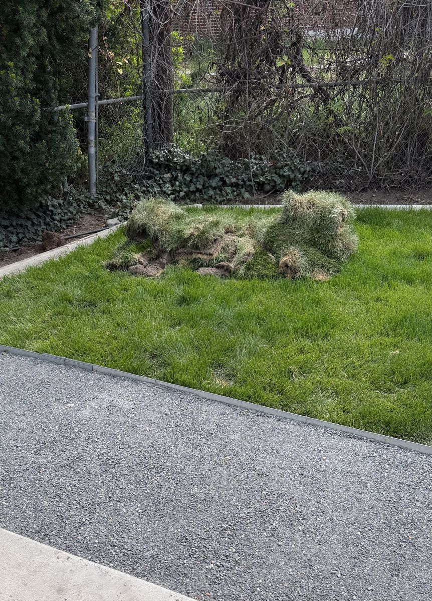 Free Sod