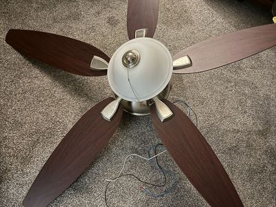 Ceiling fan