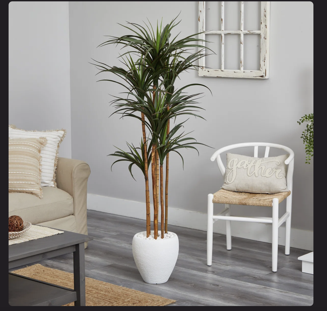 Large 6ft Artificial Yucca Tree with White Pot – New