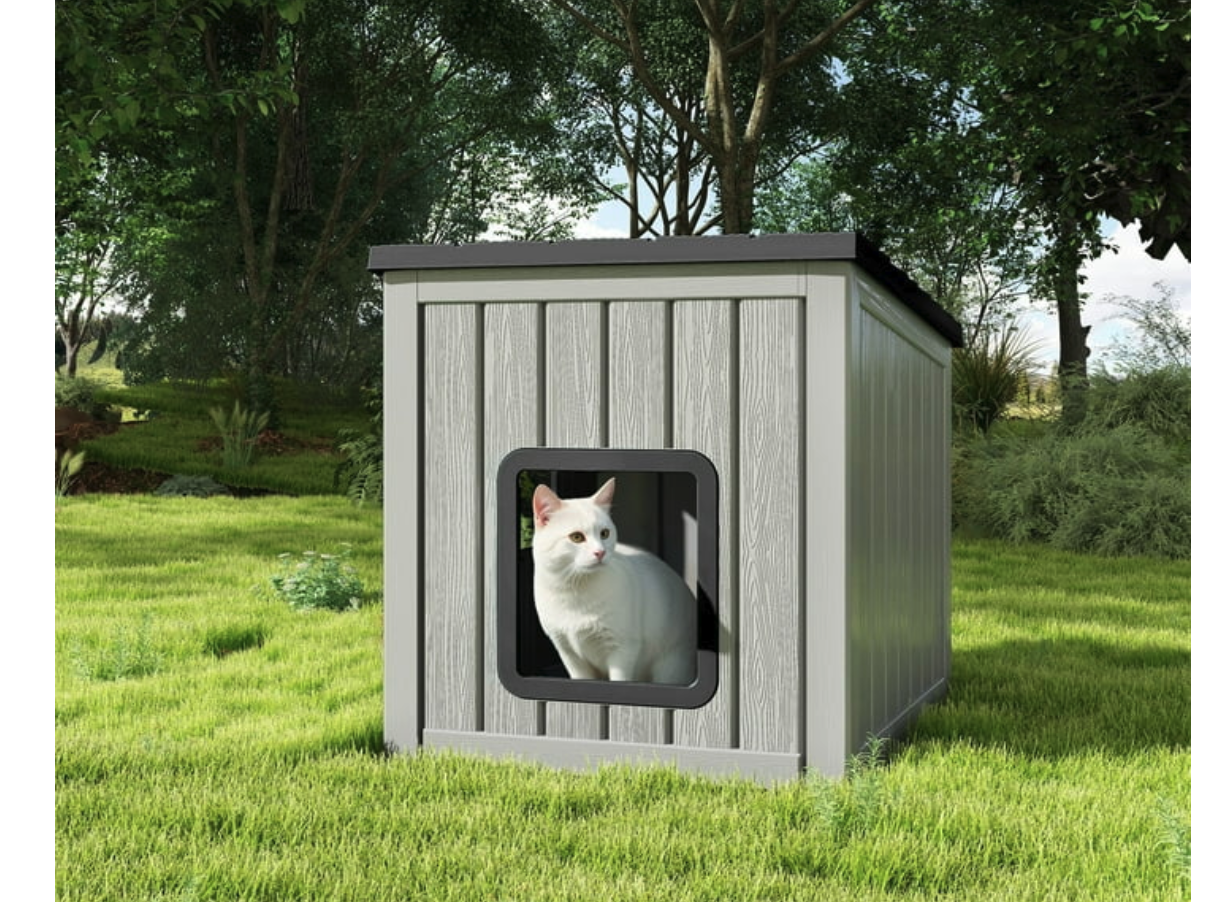 Main image 4