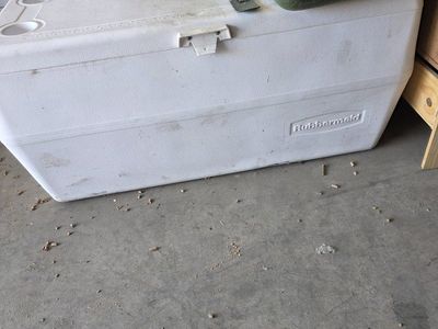 XL Rubbermaid cooler.