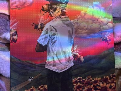 Tyler, The Creator Flower Boy Displate Metal Poster