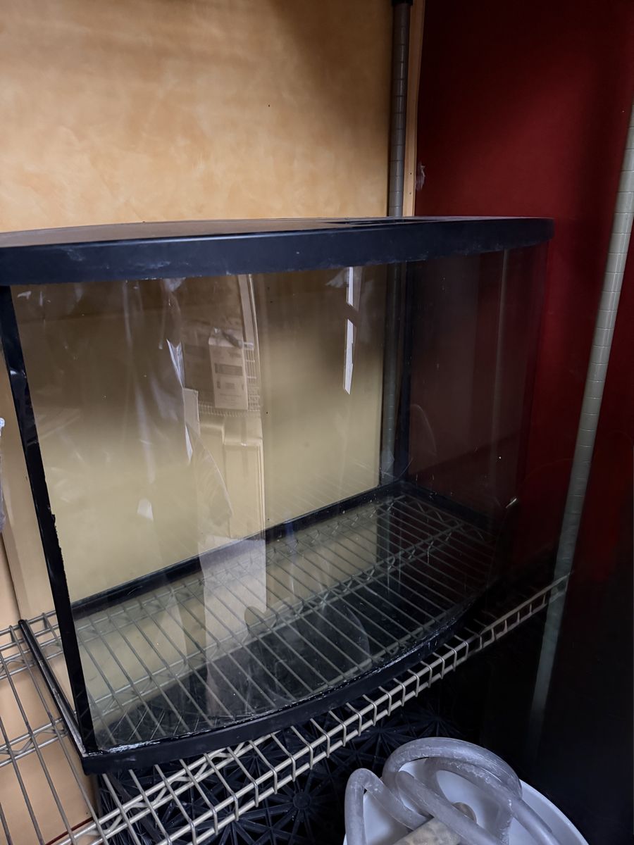 Bow Front Aquarium Fish Tank - Glass Tank