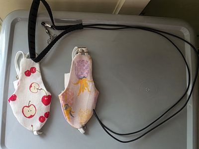 Medium Bird Flight Suit Diaper Harness Set with Leash