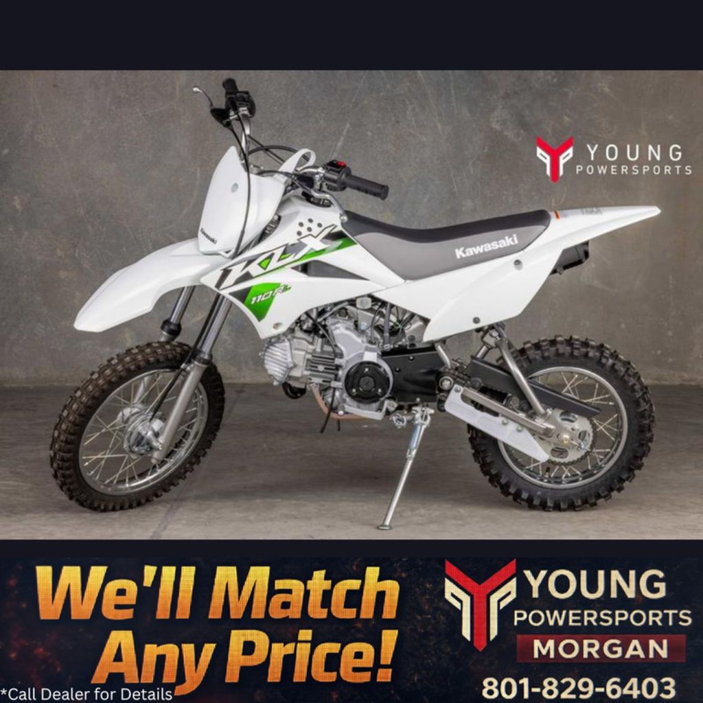 2026 KAWASAKI KLX 110R L