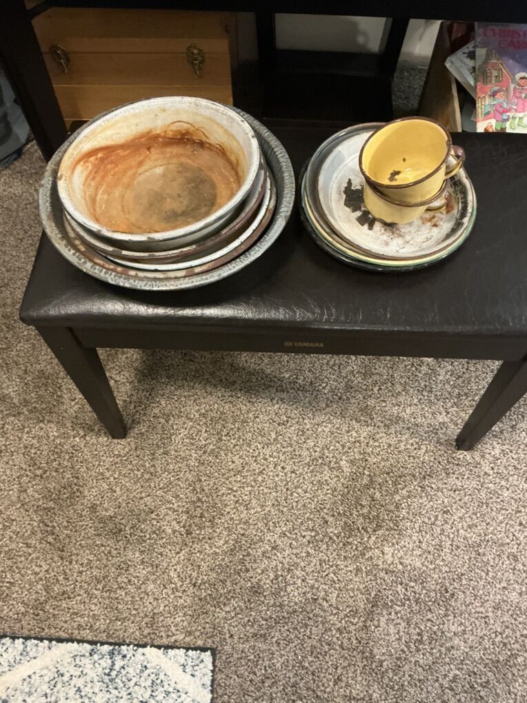 Antique Pioneer Dishes