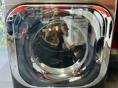 Lg ThinQ Steam Mega Electric Front Load Dryer