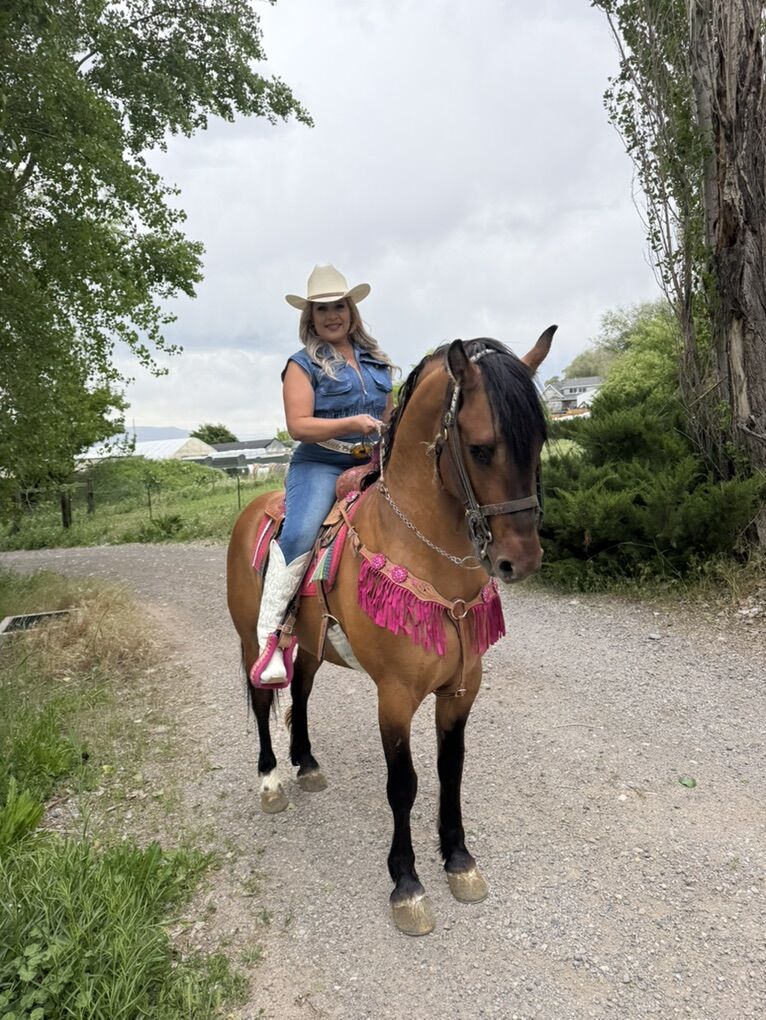 6 Years Old Warlander