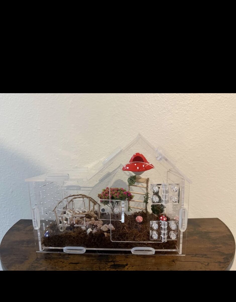 Small spider enclosure