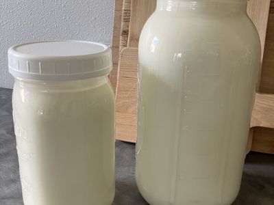 Raw Goat Milk