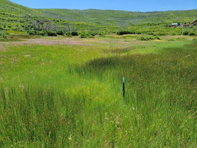 Your Mountain Playground Awaits, FREE ski pass