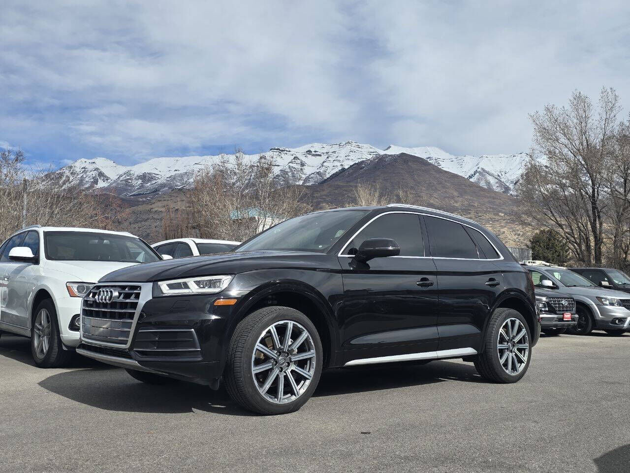 2019 Audi Q5 quattro Premium Plus 45 TFSI