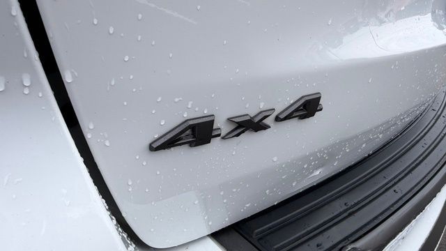 Main image 10