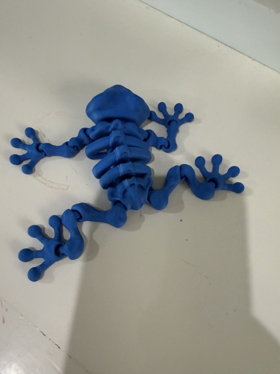 Articulated Flexi Frog Fidget Toy - 3D Printed Blue