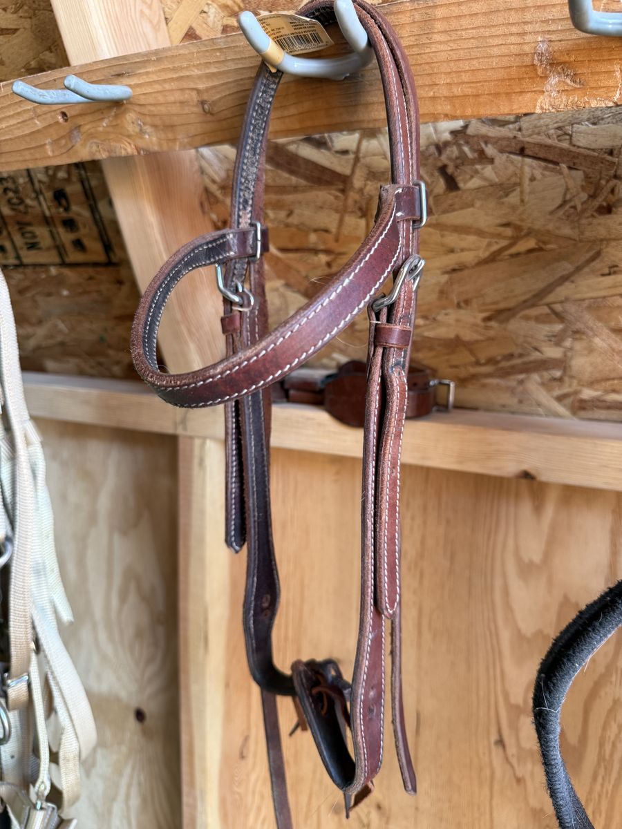 Headstall