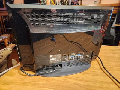 Vizeo 19 inch HD TV with remote. Works perfect.