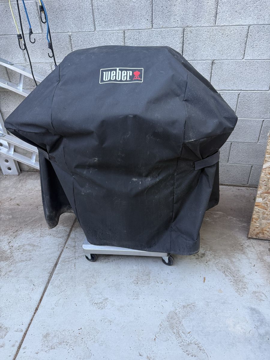 Next grill bbq