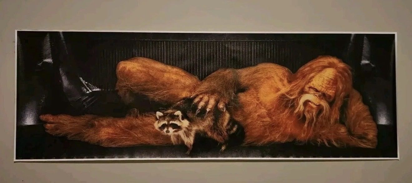 New! Cool Bigfoot and Racoon Print 20”x 60”