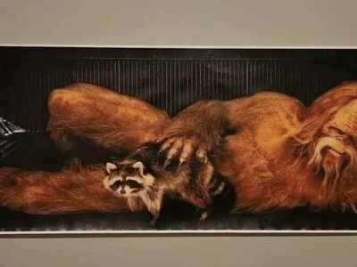 New! Cool Bigfoot and Racoon Print 20”x 60”