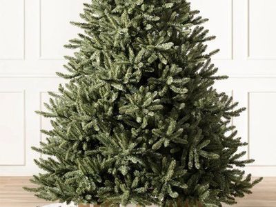 7.5 ft Classic Blue Spruce Christmas Tree (Unlit)