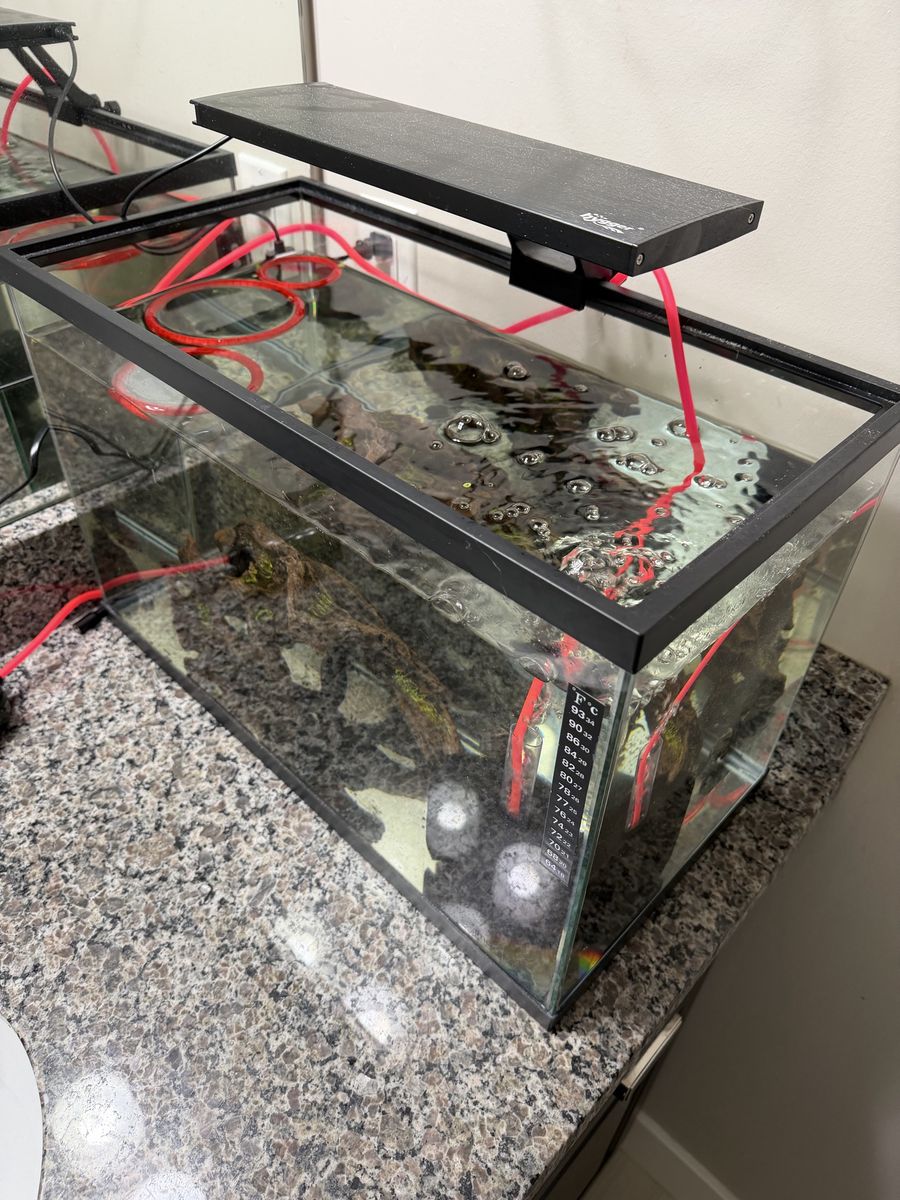 Main image 6