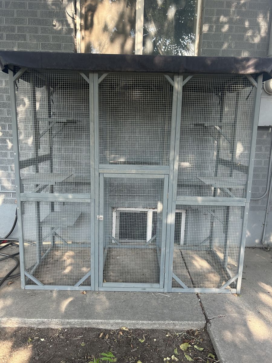 Catio (cat enclosure)