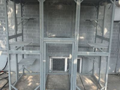 Catio (cat enclosure)
