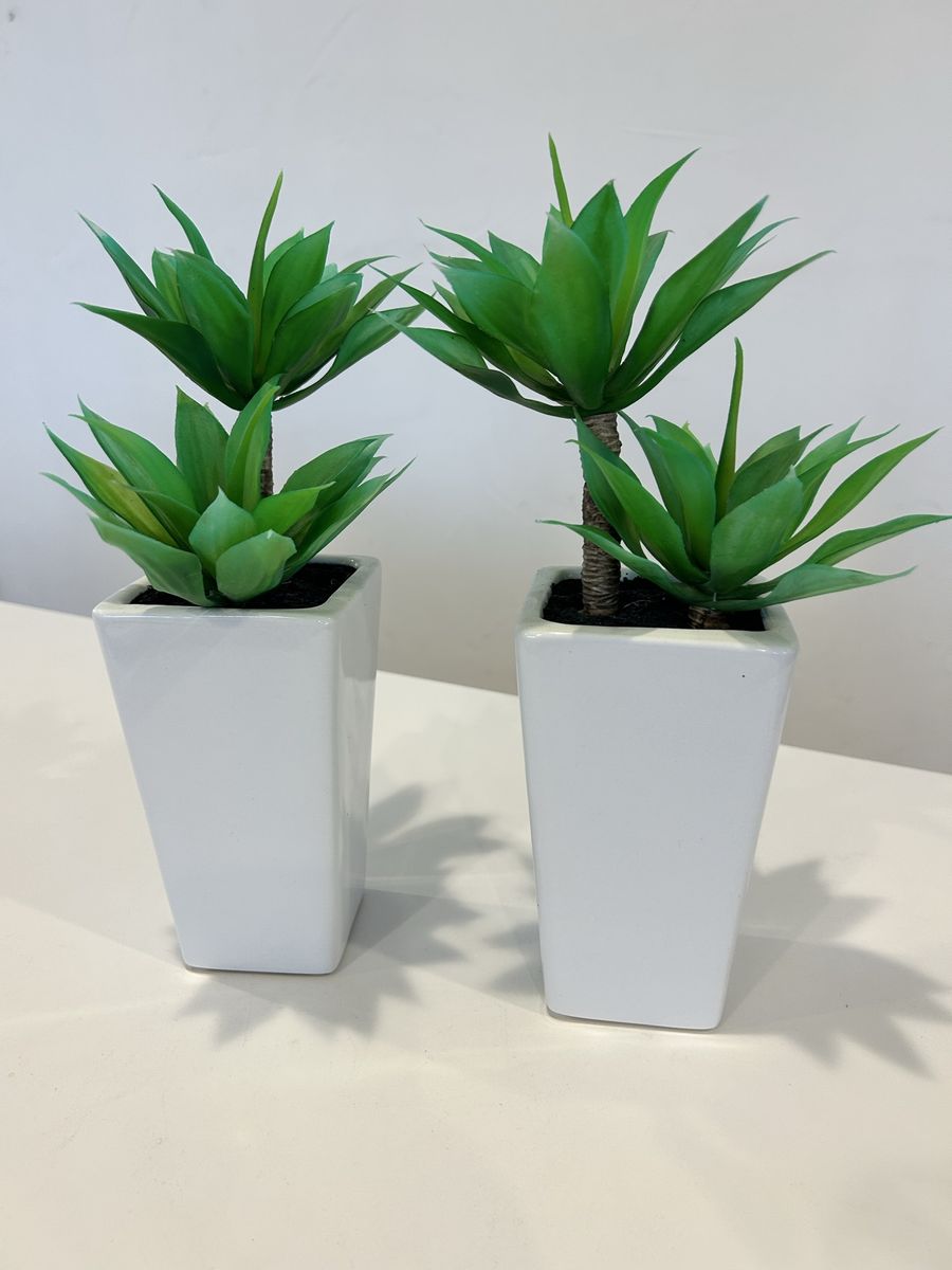 Modern Plant Arrangement Artificial TWO