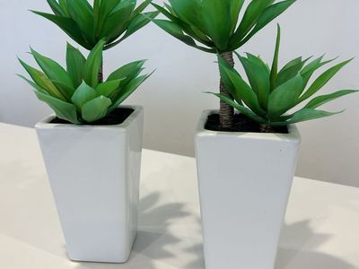 Modern Plant Arrangement Artificial TWO