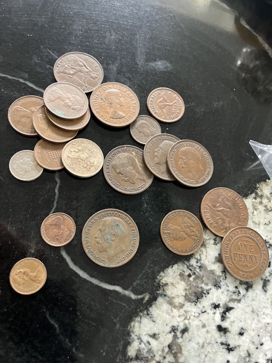 Old English and Australian Cions