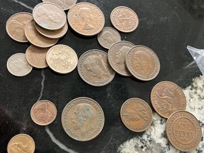 Old English and Australian Cions