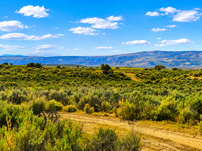 Secluded 1.13-Acre Tiny Home Cabin Site with Mountain Views!