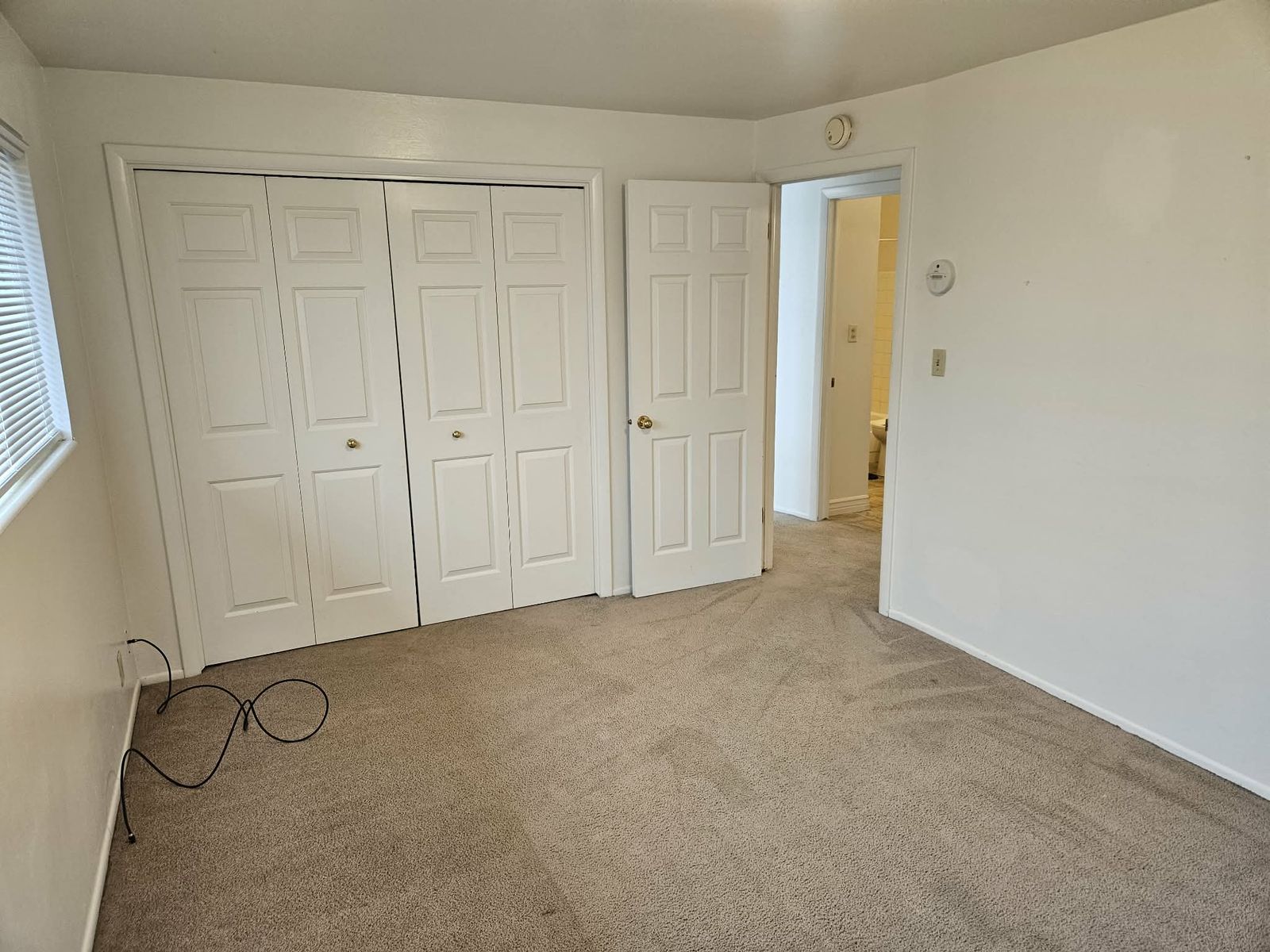 Main image 19
