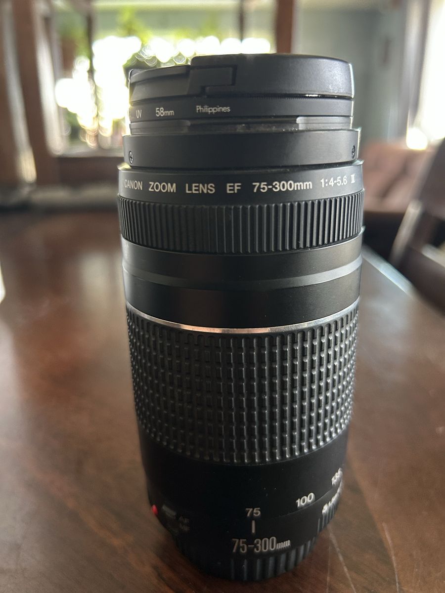 Canon Zoom Lens EF 75-300mm