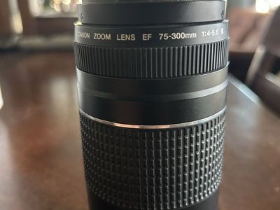 Canon Zoom Lens EF 75-300mm