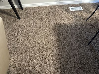 Used Carpet And Pad From Pet Free Home