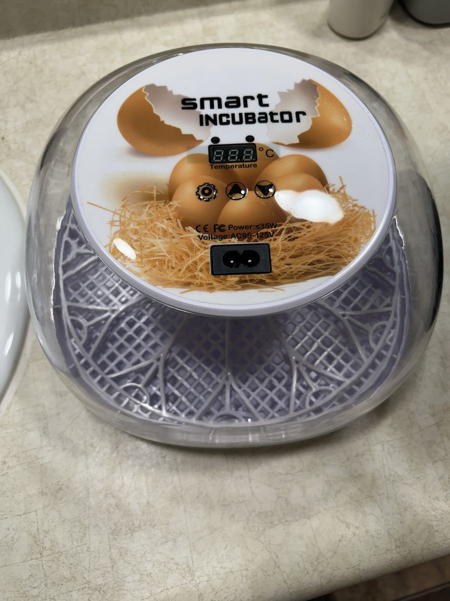 Incubator