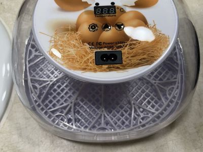 Incubator