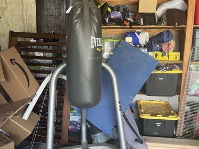 Punching Bag w/ Stand