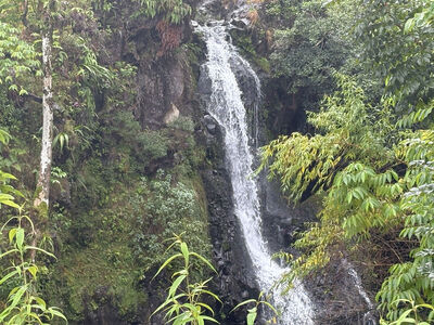 Free Maui timeshare/Rentals: Maui/Kauai, Oct, Nov, Dec Jan Feb March