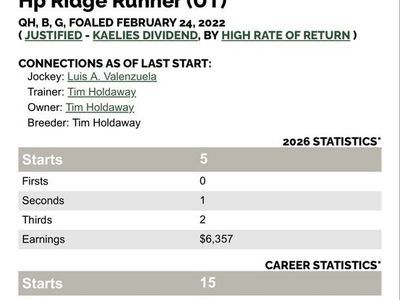 2022 gelding