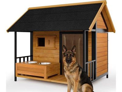 new dog house