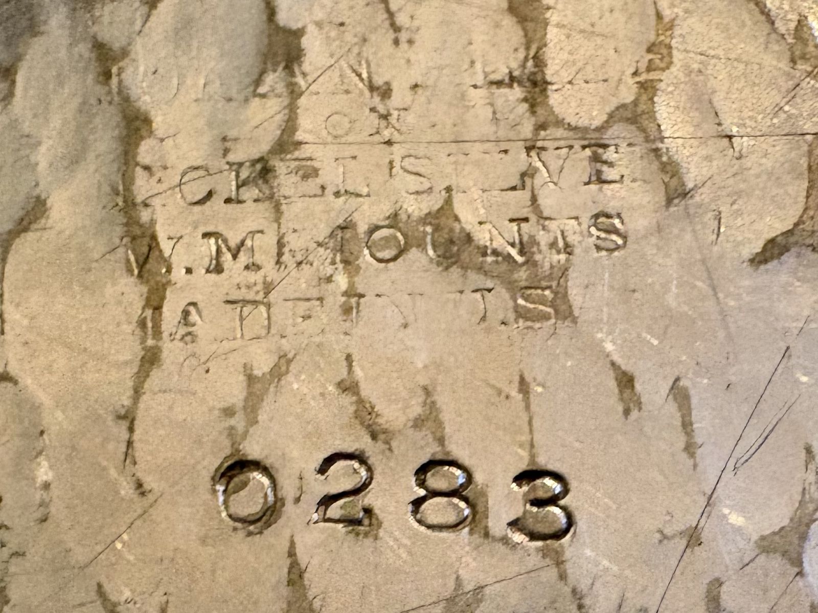 Main image 6